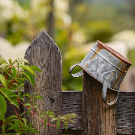 Pagorek W Brennej Brenna